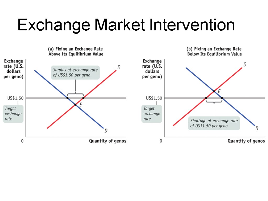 Exchange Market Intervention